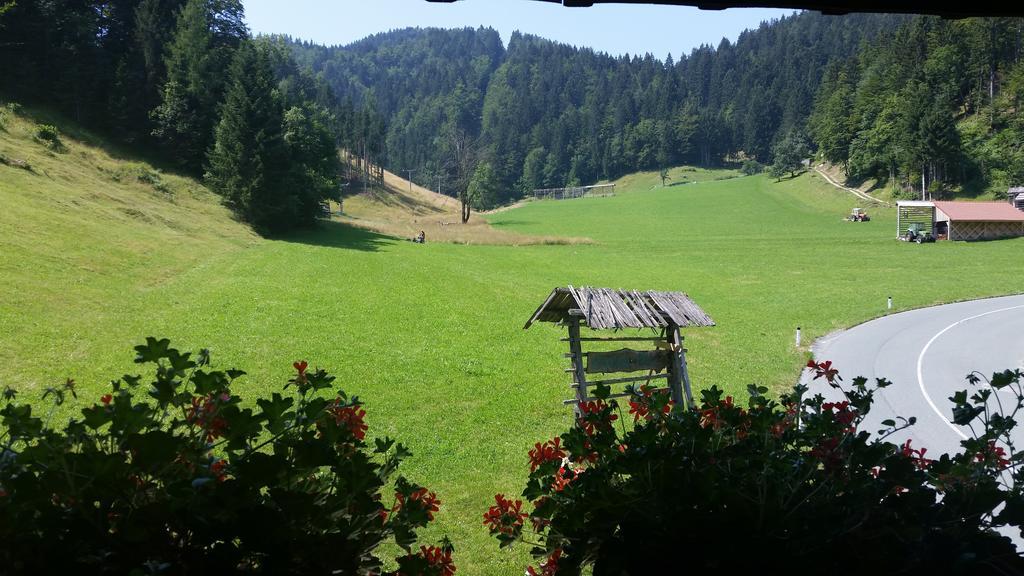 Brunarica Bled Zatrnik Pokljuka Room photo